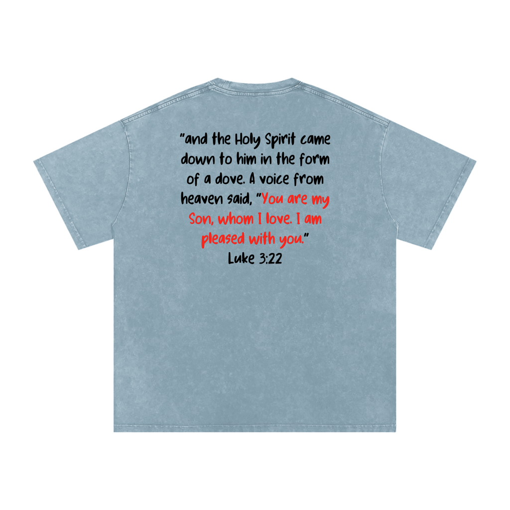 Dove of The Spirit | Luke 3:22