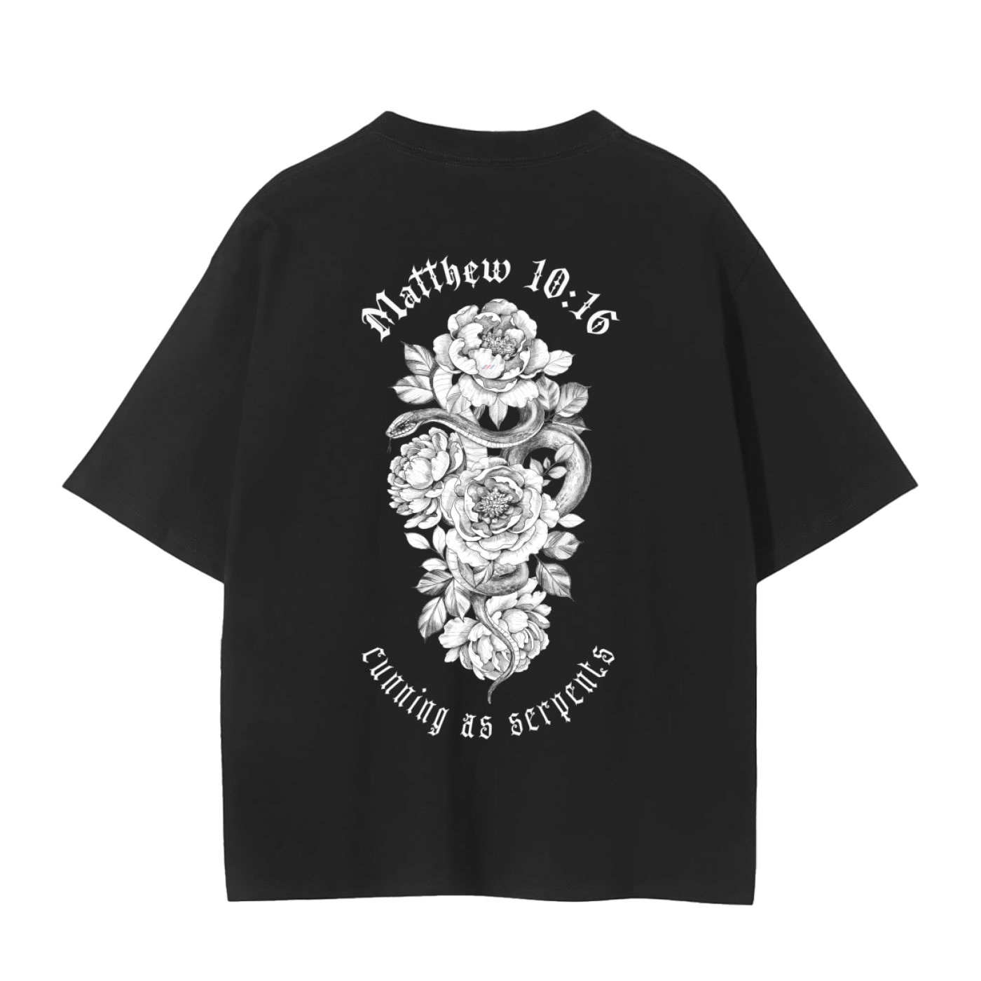 Doves and Snakes | Matthew 10:16