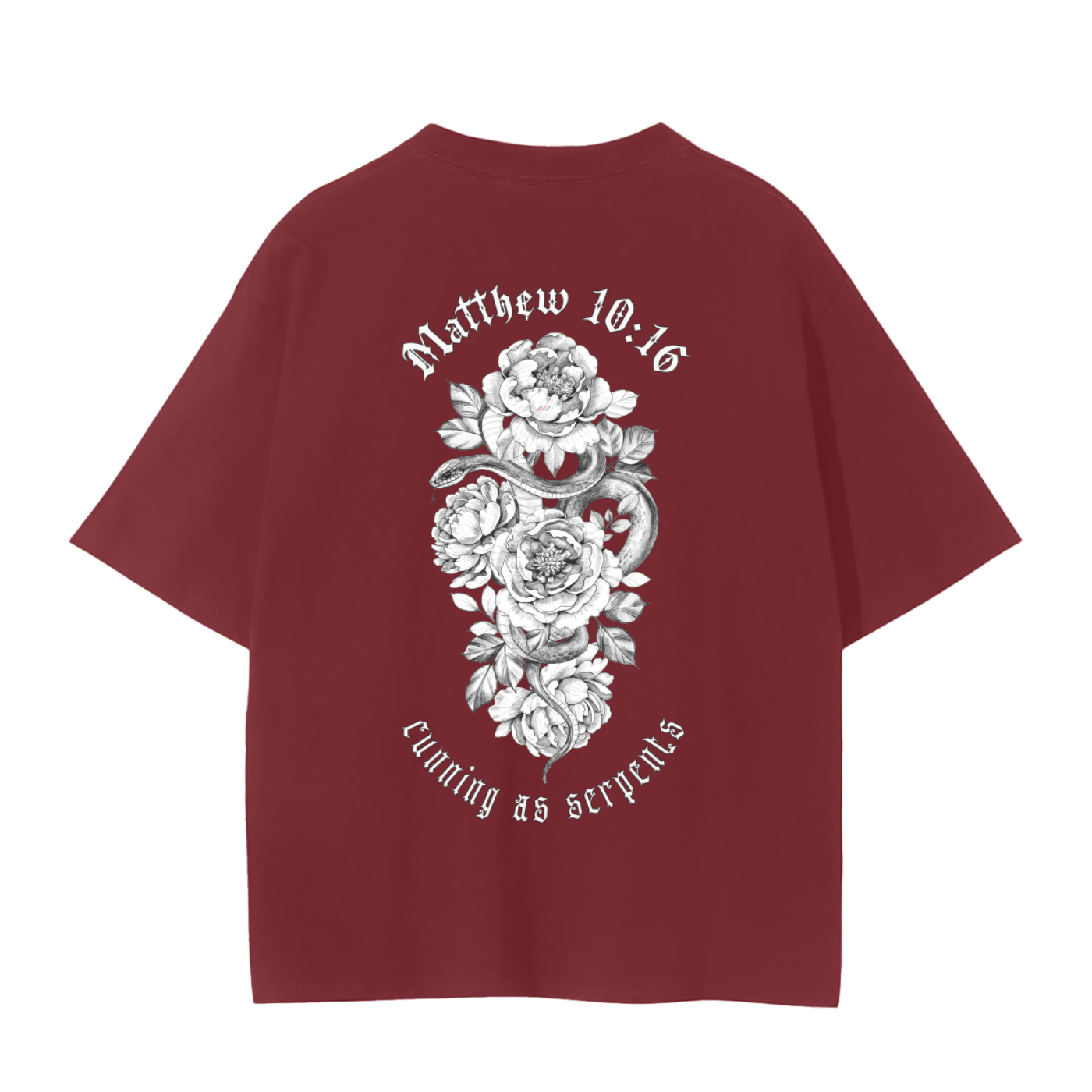 Doves and Snakes | Matthew 10:16