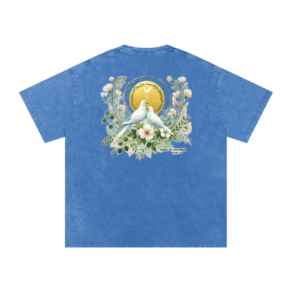 S.O.S | Song of Songs 2:10-12