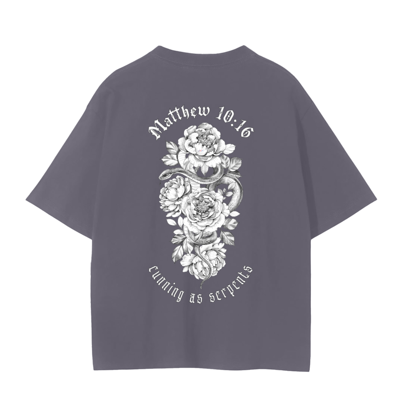 Doves and Snakes | Matthew 10:16