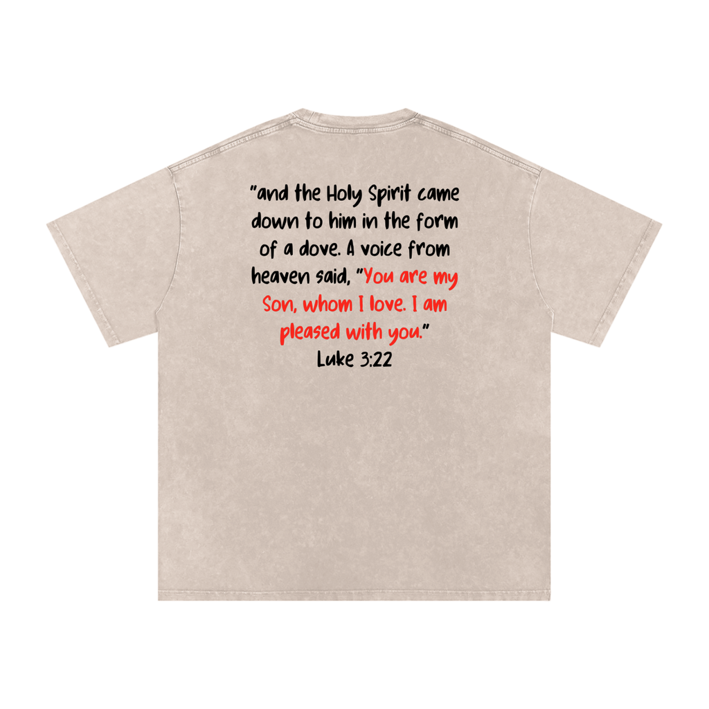 Dove of The Spirit | Luke 3:22