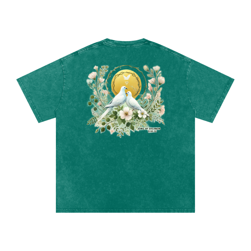 S.O.S | Song of Songs 2:10-12