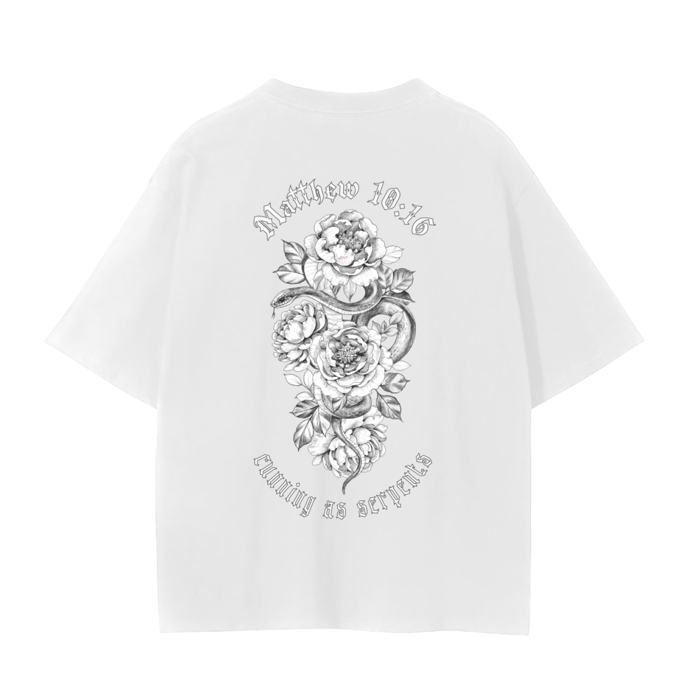 Doves and Snakes | Matthew 10:16