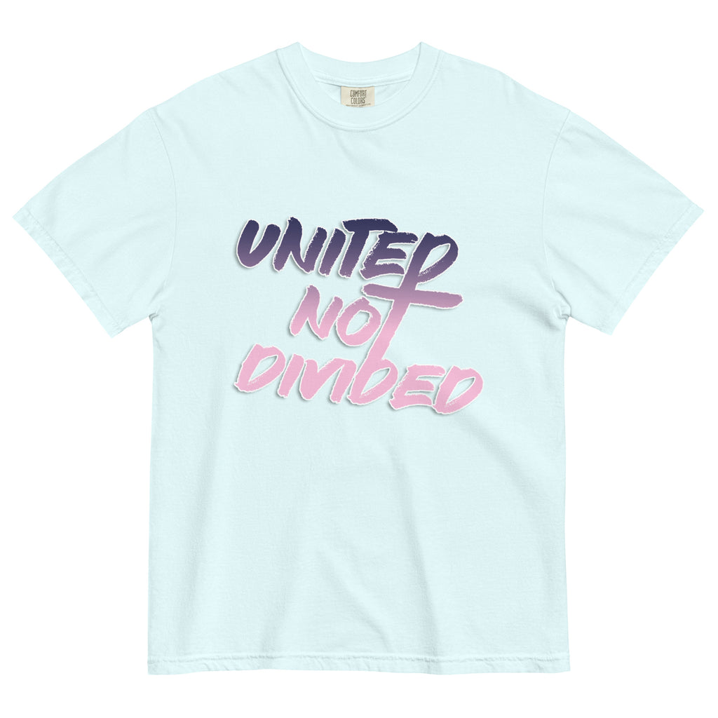 United, Not Divided Short Sleeve Chambray T-Shirt | Triple Threads Collection