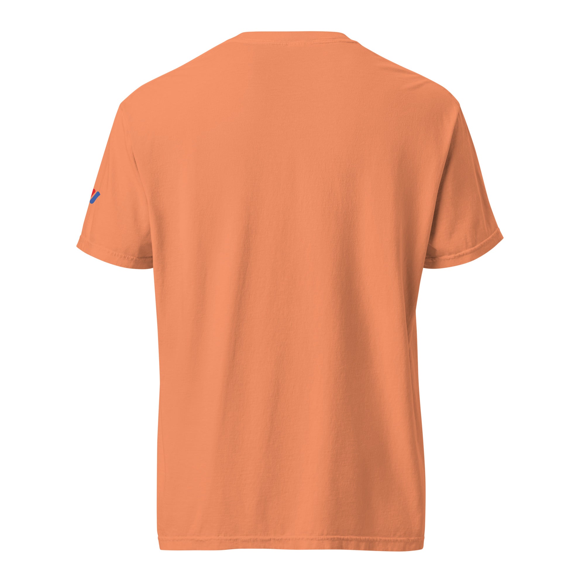 "Pray More, Worry Less" Short Sleeve Christian, Faith Based Adult T-Shirt